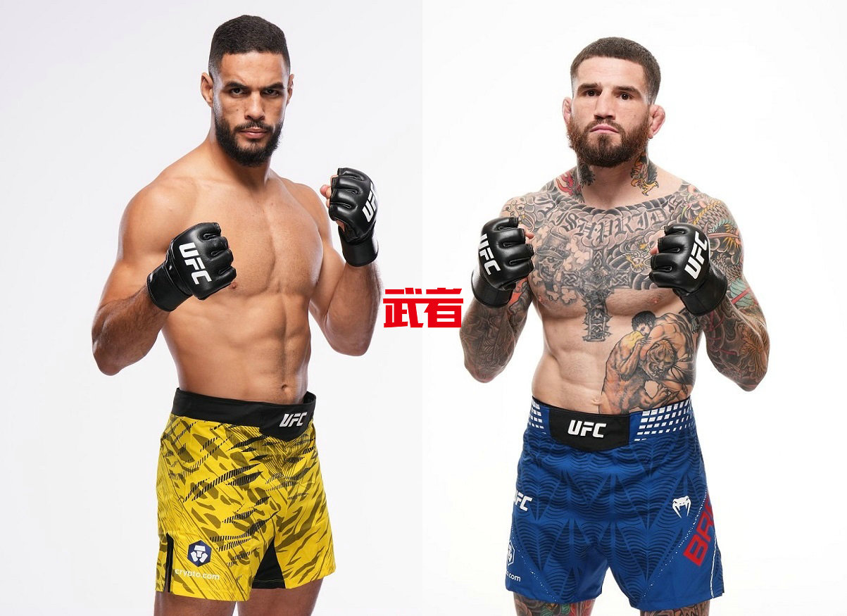 UFC_Bonfim_Brady.jpg