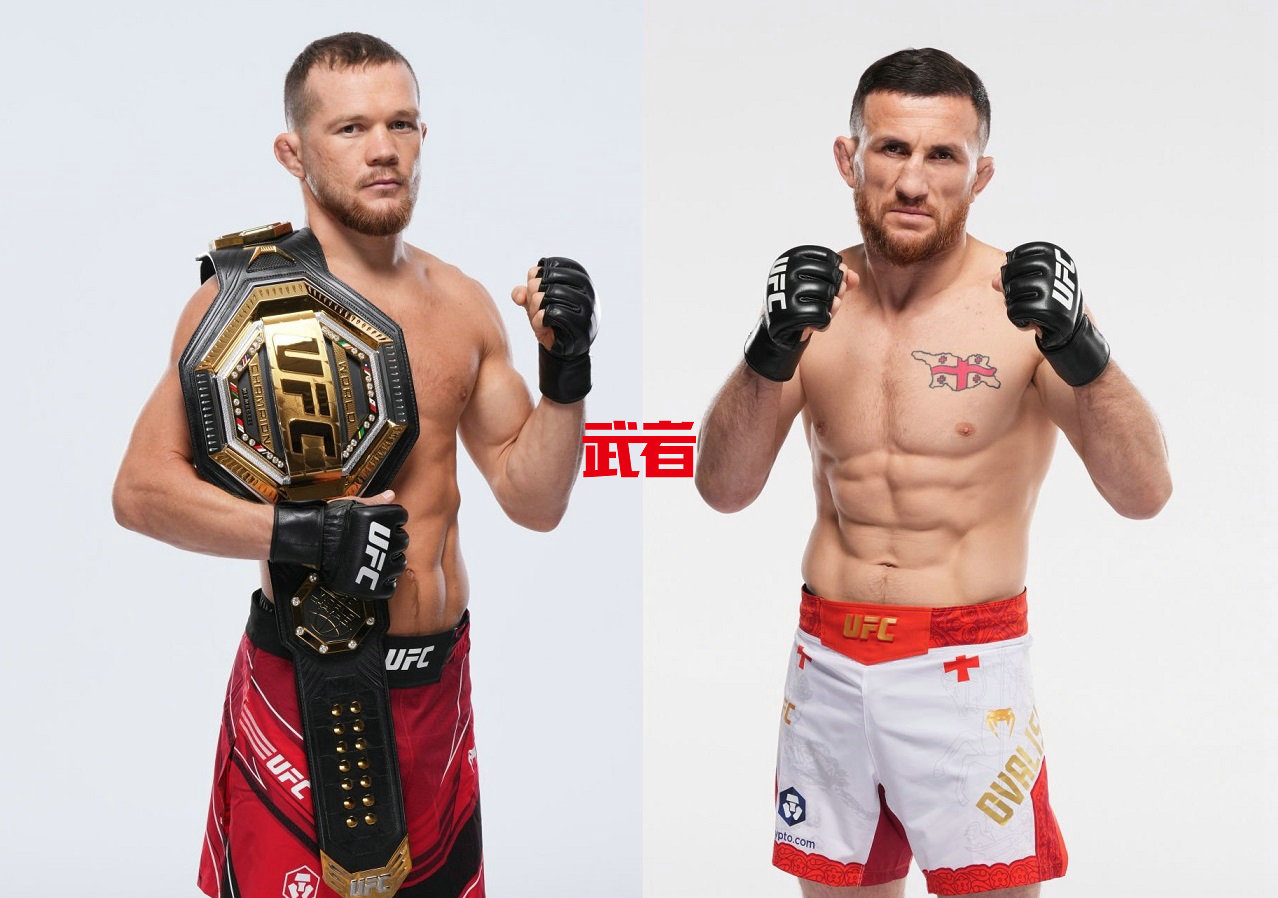 UFC_Yan_Dvalishvili.jpg