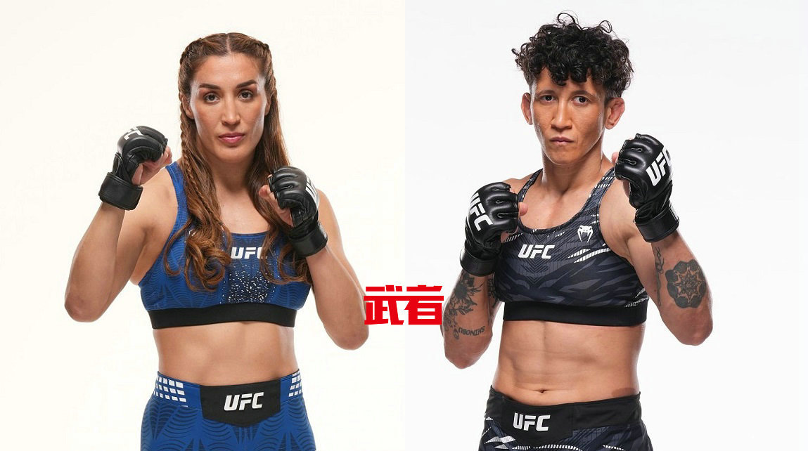 11月8日UFC：塔蒂亚娜·苏亚雷斯vs维尔娜·詹迪罗巴