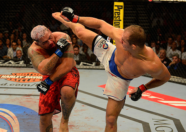 UFC官方2013年十佳KO比赛图集
