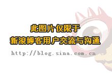 维衡生 <wbr>故新会业余武道爱好者大赛 <wbr>总结