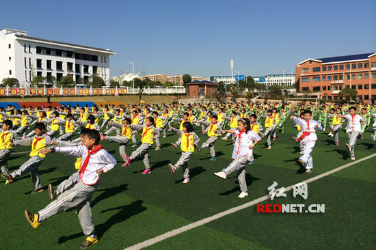 湖南启动国家校园武术段位制试点工作 185家单位获授牌