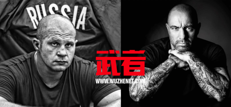 菲多反击乔·罗根关于兴奋剂的指控，称安德森·席尔瓦药检失败是一记“耳光”