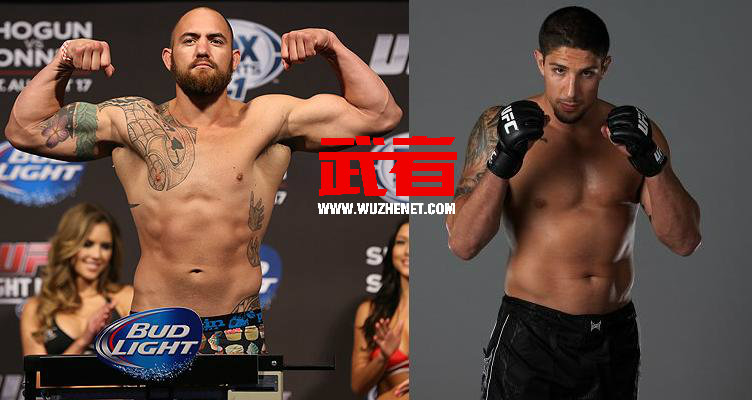 UFC181:特拉维斯·布朗vs布兰登·沙伯
