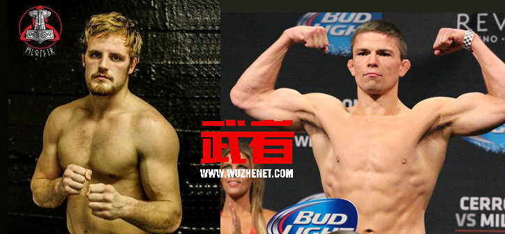 UFC格斗之夜瑞典站：贡纳尔·尼尔森vs瑞克·斯托瑞