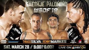 WSOF 19: 比赛视频