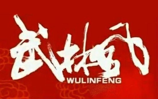 武林风-WLF 6月6日 比赛视频