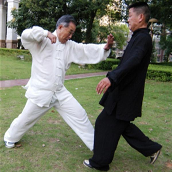 八极拳五世宗师黄焕章诞辰140周年 同门河北祭祖