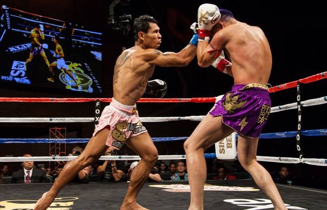 Lion Fight 17:比赛结果