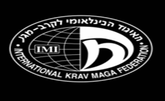 国际马伽术联盟IKMF级别介绍