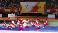 2015张家港第三届国际武术节在张家港市体育馆开幕