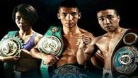 WBC/WBO职业拳王争霸赛5月8日开战