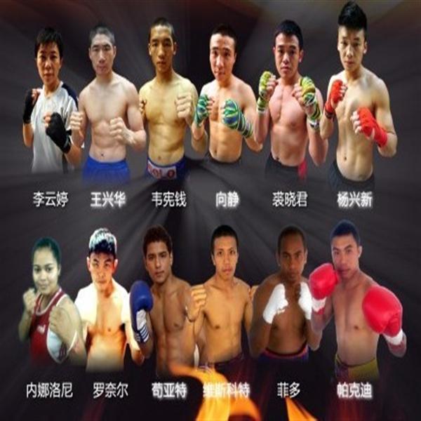 首届南博会职业拳击对抗赛6月8日昆明开战