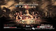 武林风5月2日走进荥阳 一龙领衔河南卫视直播