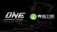 青海卫视再迎ONE FC赛事 搏击周末开拓国际视野