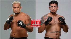 UFC格斗之夜84:马克·亨特vs弗兰克·米尔