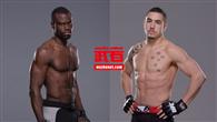UFC193:比斯平因伤退赛 霍尔替补出战惠特克