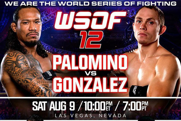 WSOF 12：比赛视频