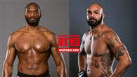 WSOF22:席尔瓦退赛 斯塔克斯对阵凯尔