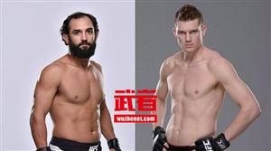 UFC196:亨德里克斯、尼尔森、普吕参战