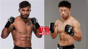 UFC格斗之夜82:川尻达也vs丹尼斯·贝穆德斯