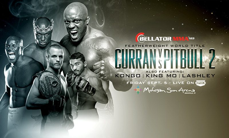 Bellator 123:比赛视频