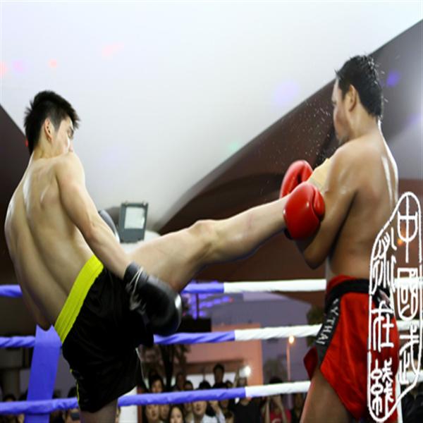 ”2013上海武跆会杯泰拳、MMA精英对抗赛”18日隆重举行